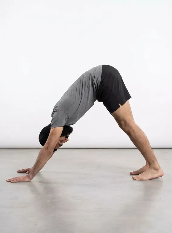 Pike Push-Ups, position 1