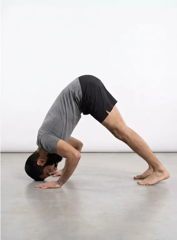 Pike Push-Ups, position 2